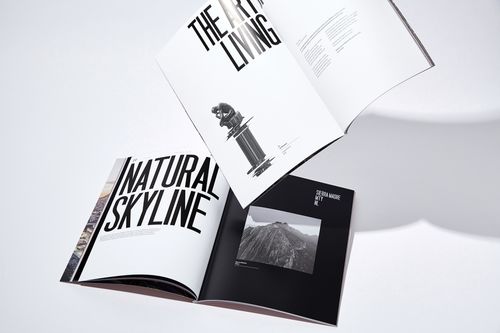 平面設(shè)計在Balzac房地產(chǎn)品牌形象塑造中的關(guān)鍵作用